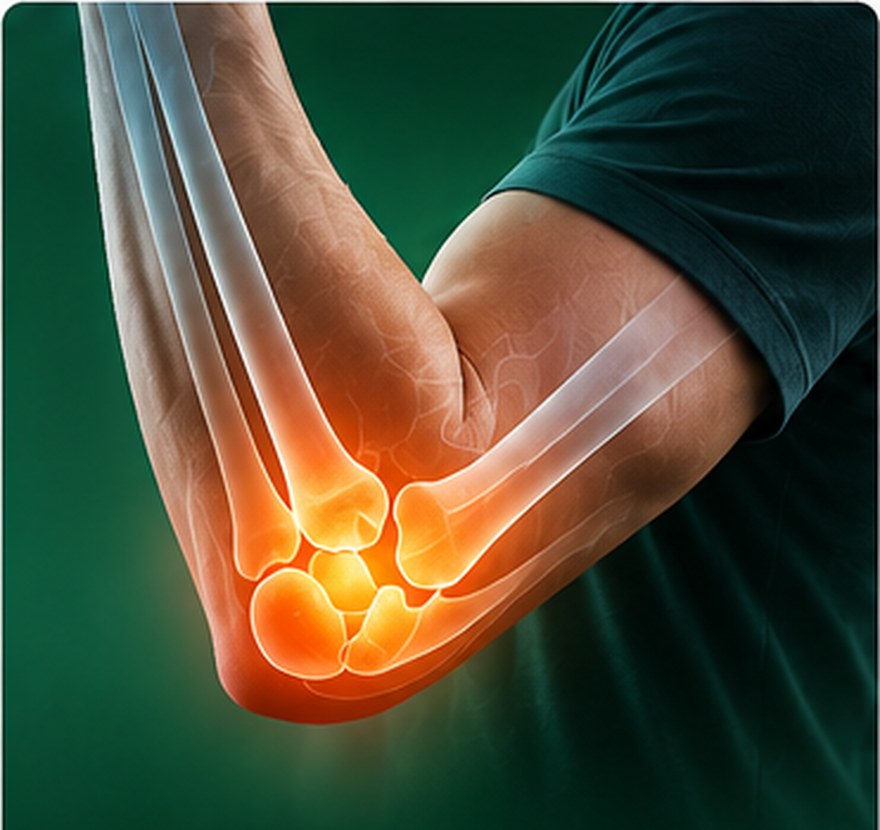 Anatomical illustration of the elbow with the joint highlighted