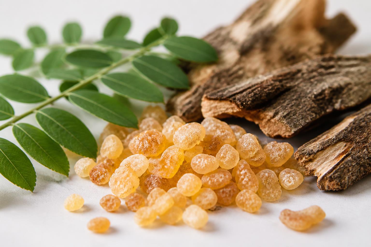 Boswellia serrata resin and leaves used in standardised supplements for osteoarthritis.